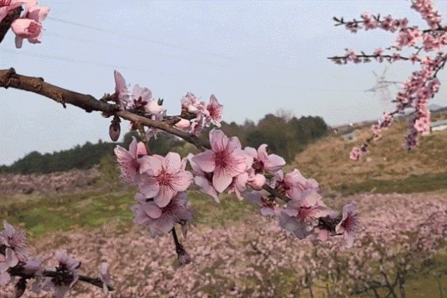 640.gif undefined
